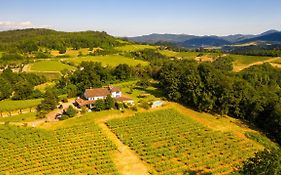 B&B Il Poggio Di Gavi
